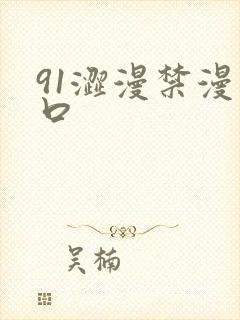 91涩漫禁漫入口