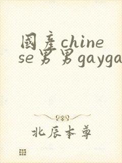 国产chinese男男gaygay 网站