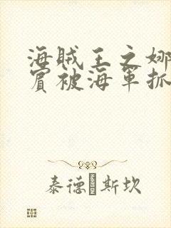 海贼王之娜美罗宾被海军抓住