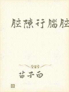 腔隙行脑腔梗封面