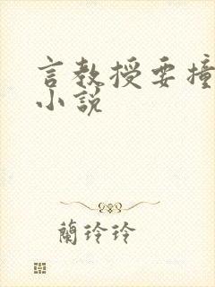 言教授要撞坏了小说封面