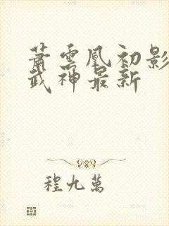 萧云凰初影荒古武神最新