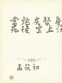 当炮灰替身的我死后 云上浅酌封面