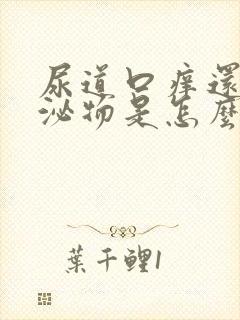 尿道口痒还有分泌物是怎么回事