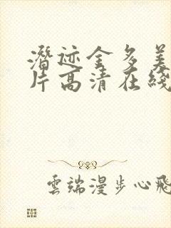 潜迹金多美纪录片高清在线观看