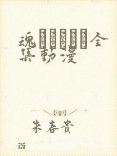 魂ィンサート全集动漫