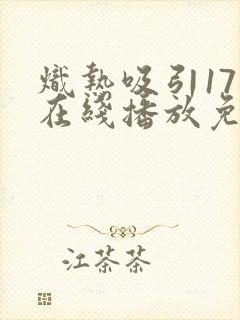 炽热吸引17集在线播放免费