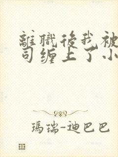 离职后我被前上司缠上了小说免费全集