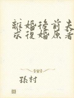 离婚后前夫哭着求复婚原著封面