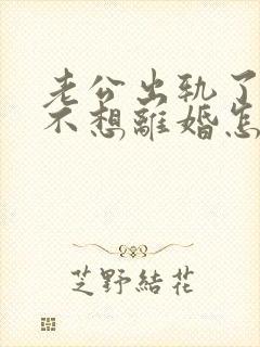 老公出轨了,我不想离婚怎么办封面