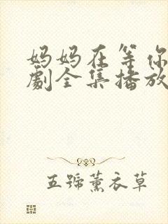 妈妈在等你电视剧全集播放