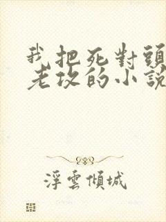 我把死对头养成老攻的小说封面