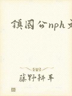 镇国公nph文