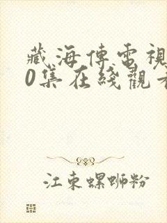 藏海传电视剧40集在线观看