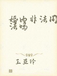 婚内非法同居犯法吗