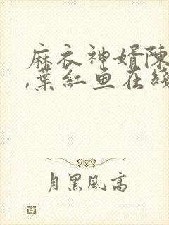 麻衣神婿陈黄皮,叶红鱼在线免费阅读