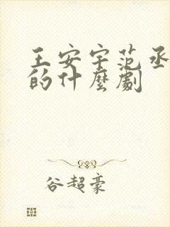 王安宇范丞丞演的什么剧封面