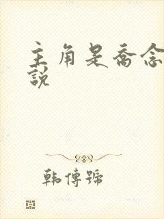 主角是乔念的小说