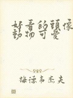 好看的头像女生动物可爱封面