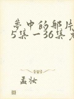 梦中的那片海35集一36集免费观看