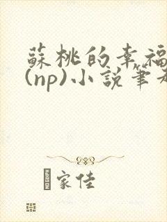 苏桃的幸福生活(np)小说笔趣阁沐沐