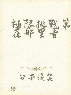 极限挑战第十季在哪里看