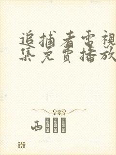 追捕者电视剧全集免费播放封面