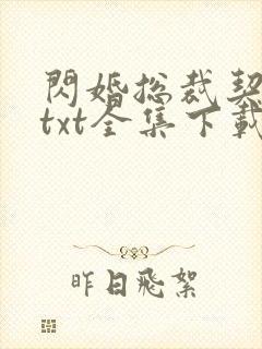 闪婚总裁契约妻txt全集下载封面