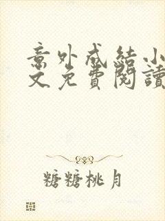 意外成结小说全文免费阅读笔趣阁下载无弹窗封面