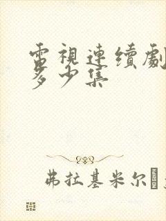 电视连续剧冬至多少集封面