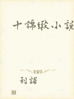 十锦缎小说