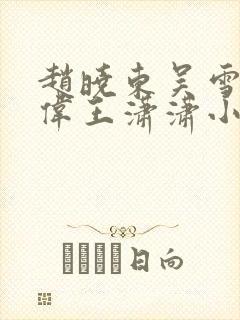 赵晓东吴雪晴郑伟王潇潇小说名字封面