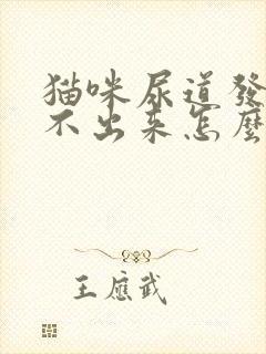 猫咪尿道发炎尿不出来怎么办封面