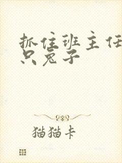 抓住班主任的两只兔子