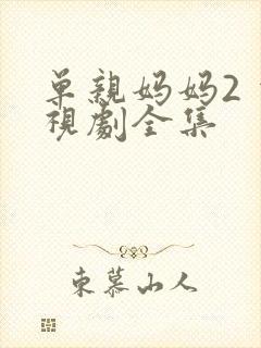 单亲妈妈2 电视剧全集封面