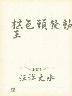 棕色头发动漫女主