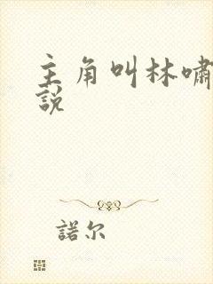 主角叫林啸的小说