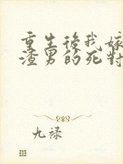 重生后我嫁给了渣男的死对头的作者封面