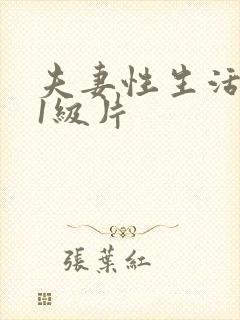 夫妻性生活黄色1级片