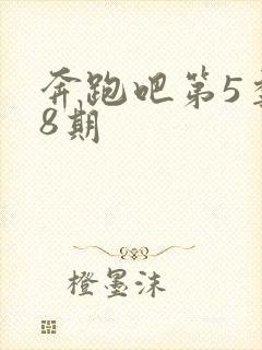 奔跑吧第5季第8期封面