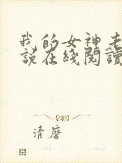 我的女神老婆小说在线阅读