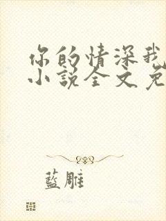 你的情深我不配小说全文免费阅读全文