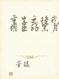 重生之后我成了权臣的黑月光小说