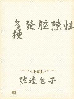 多发腔隙性脑有梗封面