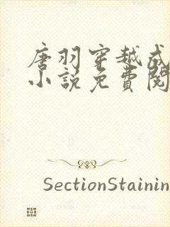 唐羽穿越成太子小说免费阅读