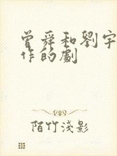 曾舜和刘宇宁合作的剧