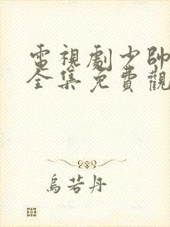 电视剧少帅48全集免费观看