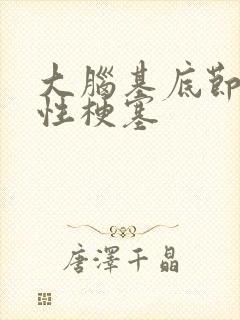 大脑基底节腔隙性梗塞