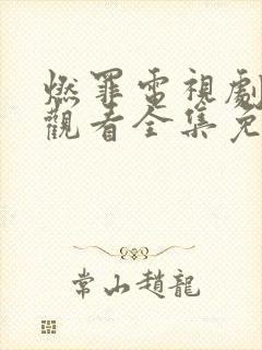 燃罪电视剧在线观看全集免费