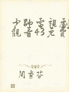 少帅电视剧全集观看43免费